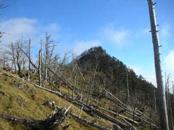 �|�؁A�߉ރ��x